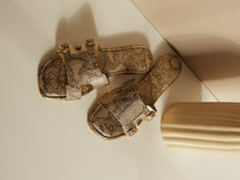 Load image into Gallery viewer, Achilles