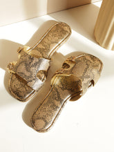 Load image into Gallery viewer, Achilles