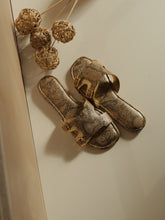 Load image into Gallery viewer, Achilles