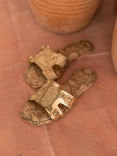 Load image into Gallery viewer, Achilles