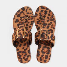 Load image into Gallery viewer, Feline