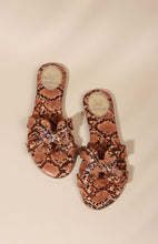 Load image into Gallery viewer, Diablo